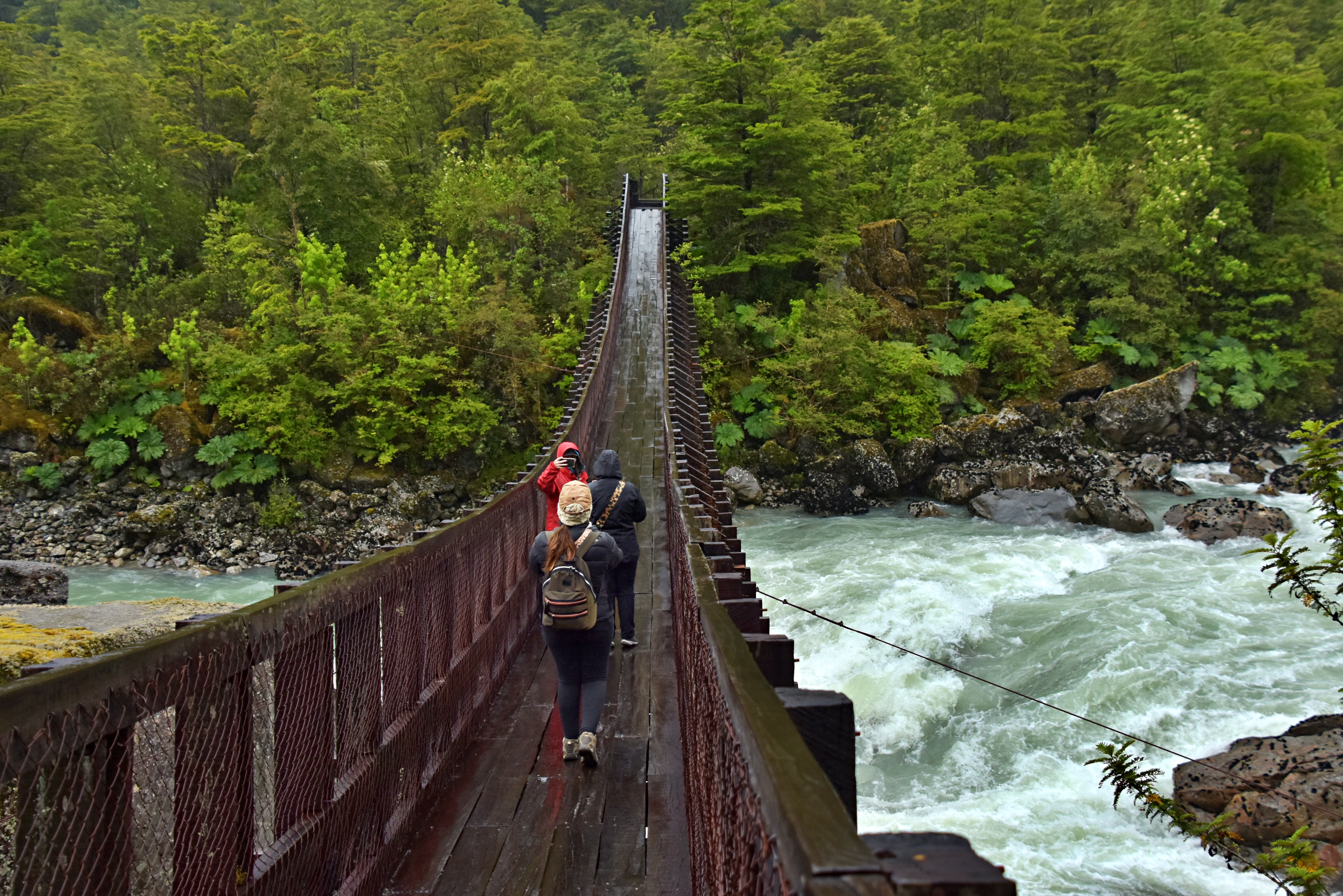 Aysén Norte, Entre Aguas y Bosque Siempre Verde
