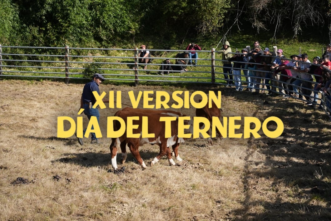 Día del Ternero