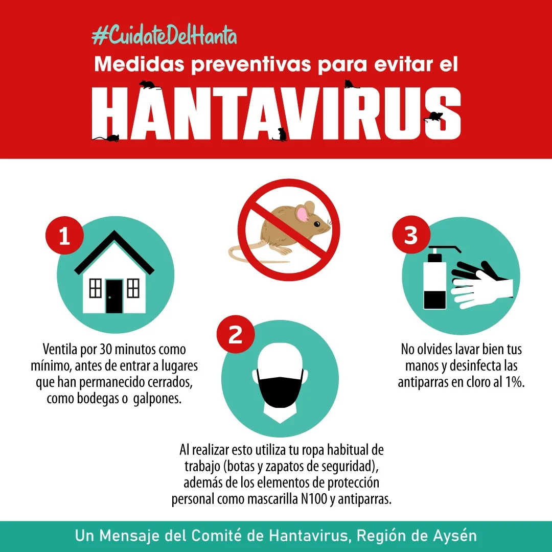 Medidas preventivas para evitar el Hantavirus