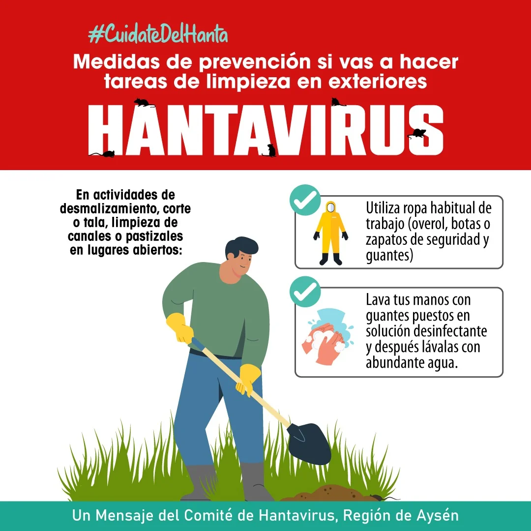 Medidas de prevención si vas a hacer tareas de limpieza en exteriores