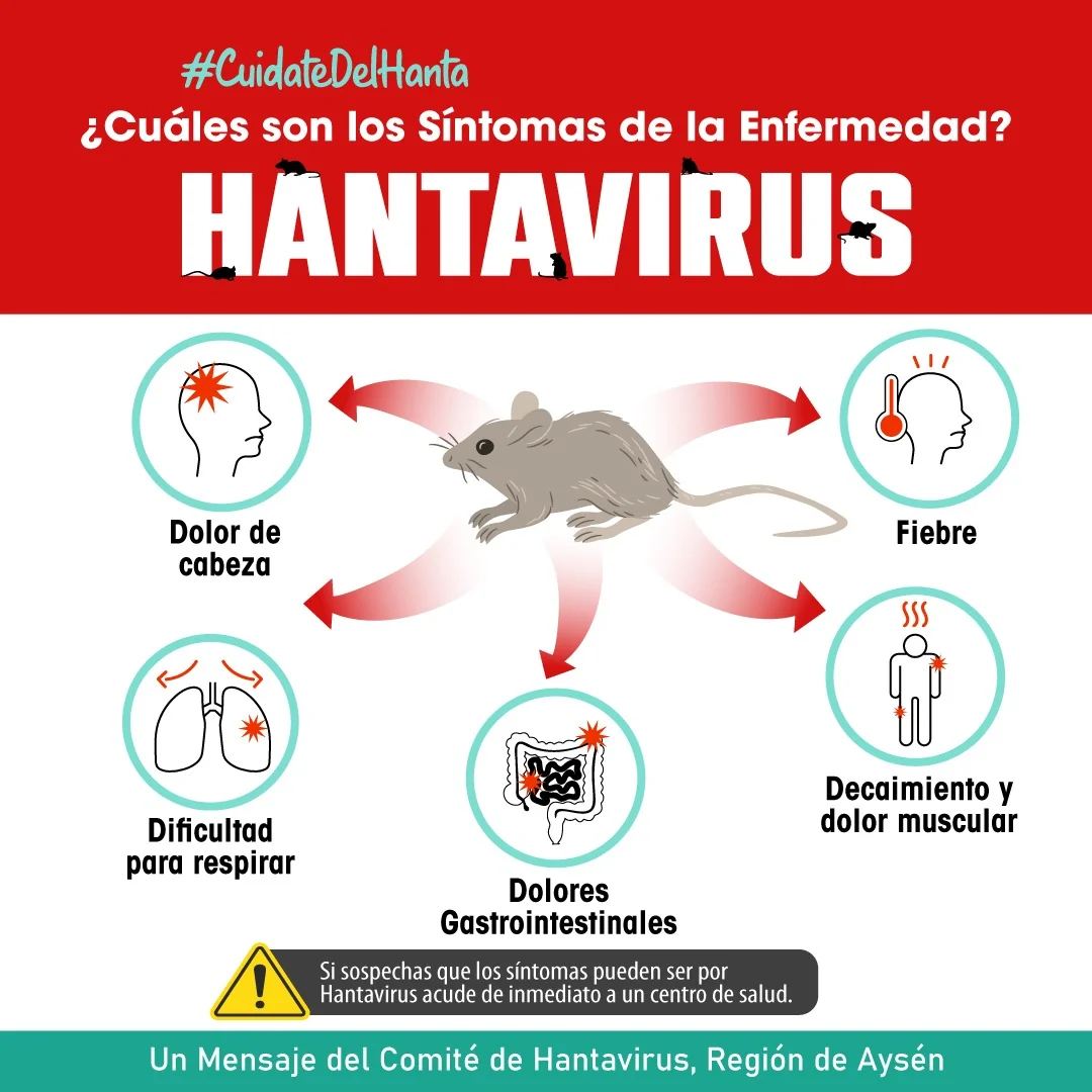 ¿Cuáles son los Síntomas de la Enfermedad?