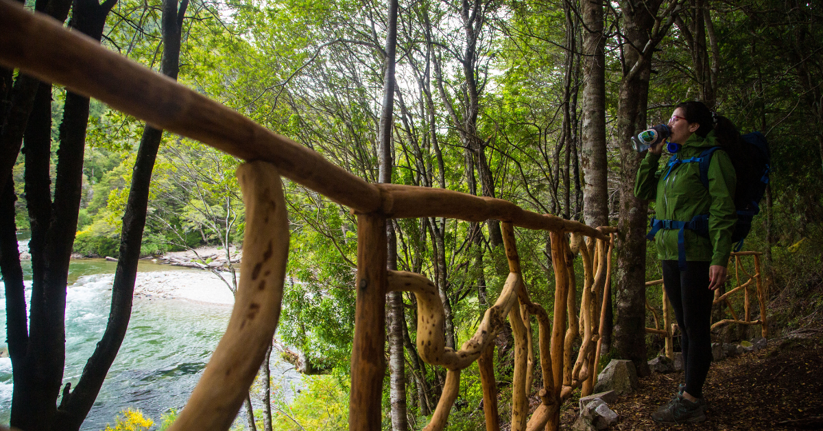 Viaja Seguro y Previene el Hantavirus